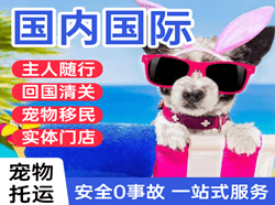 长安航空物流国际宠物托运 【国